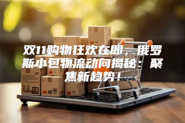 双11购物狂欢在即，俄罗斯小包物流动向揭秘：聚焦新趋势！