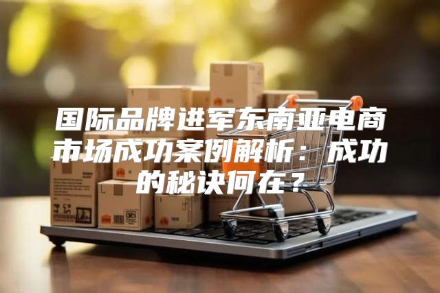 国际品牌进军东南亚电商市场成功案例解析：成功的秘诀何在？