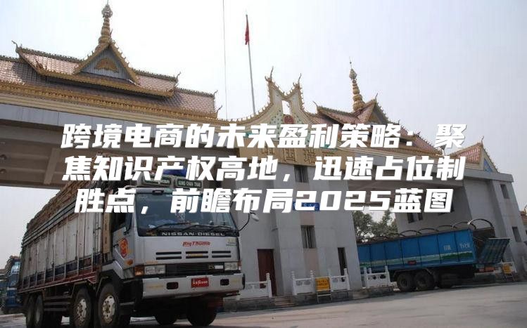 跨境电商的未来盈利策略：聚焦知识产权高地，迅速占位制胜点，前瞻布局2025蓝图