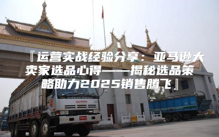 『运营实战经验分享：亚马逊大卖家选品心得——揭秘选品策略助力2025销售腾飞』