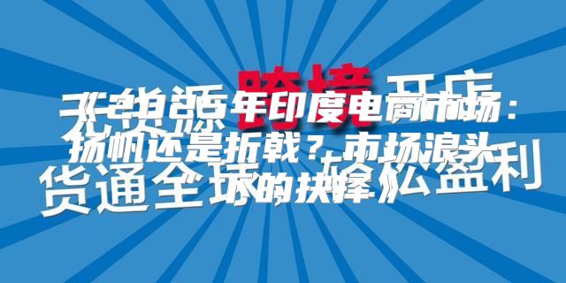 2025年印度电商市场：扬帆还是折戟？市场浪头”下的抉择