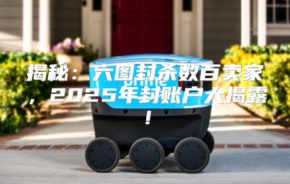 揭秘：六图封杀数百卖家，2025年封账户大揭露！