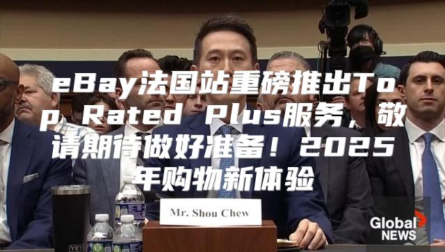 eBay法国站重磅推出Top Rated Plus服务，敬请期待做好准备！2025年购物新体验