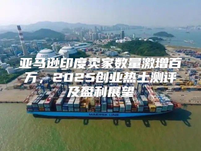 亚马逊印度卖家数量激增百万，2025创业热土测评及盈利展望
