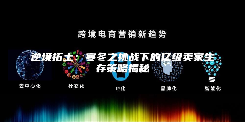 逆境拓土：寒冬之挑战下的亿级卖家生存策略揭秘