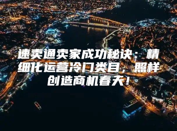 速卖通卖家成功秘诀：精细化运营冷门类目，照样创造商机春天！
