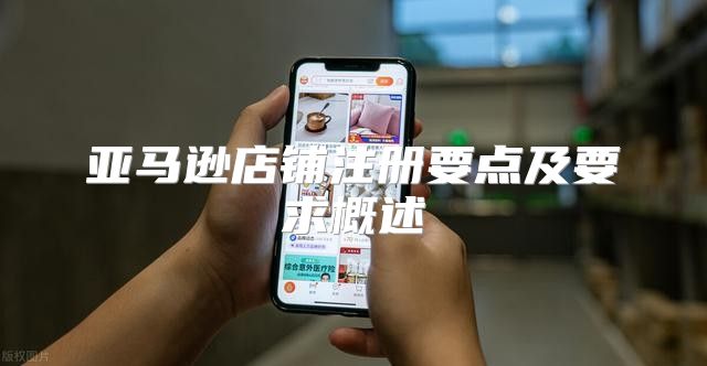 亚马逊店铺注册要点及要求概述