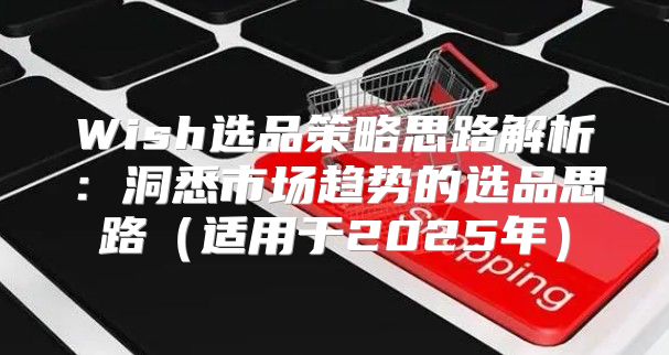 Wish选品策略思路解析：洞悉市场趋势的选品思路适用于2025年