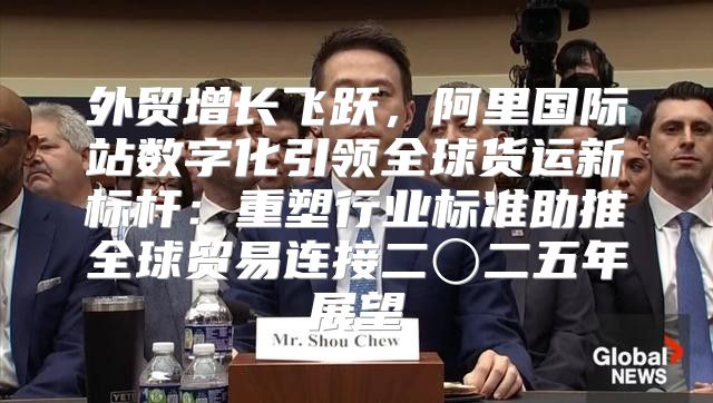外贸增长飞跃，阿里国际站数字化引领全球货运新标杆：重塑行业标准助推全球贸易连接二〇二五年展望