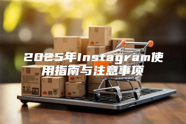 2025年Instagram使用指南与注意事项