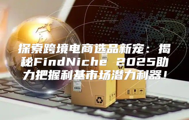 探索跨境电商选品新宠：揭秘FindNiche 2025助力把握利基市场潜力利器！