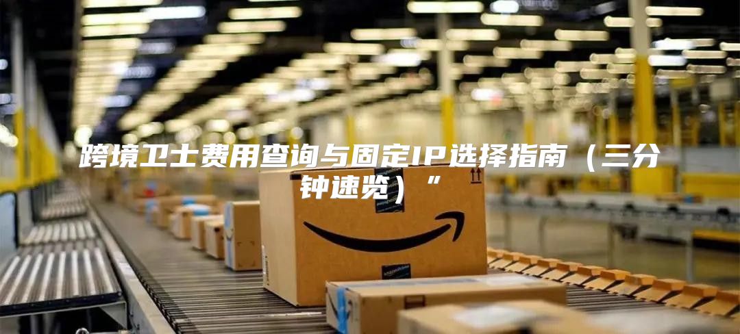 跨境卫士费用查询与固定IP选择指南三分钟速览”