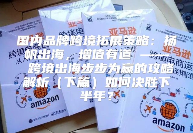 国内品牌跨境拓展策略：扬帆出海，增值有道 —— 跨境出海步步为赢的攻略解析下篇如何决胜下半年？