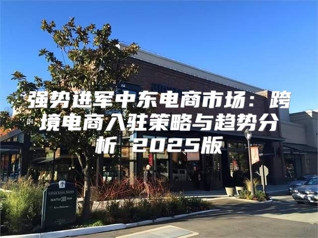 强势进军中东电商市场：跨境电商入驻策略与趋势分析 2025版