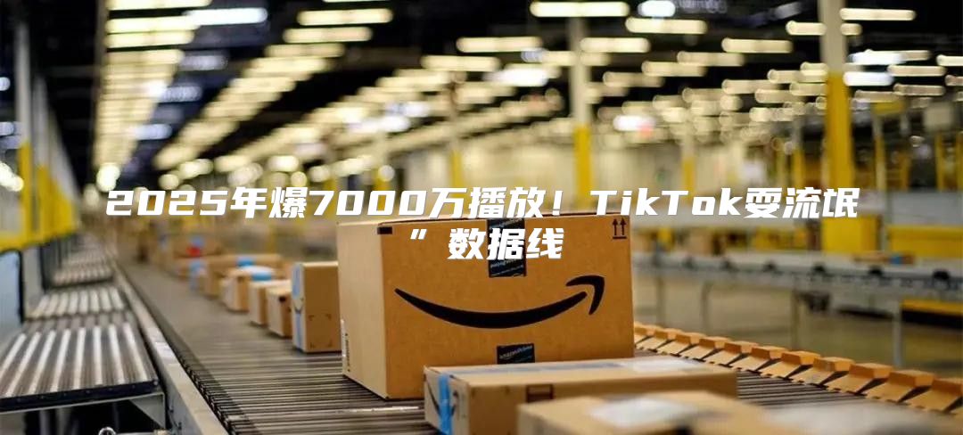 2025年爆7000万播放！TikTok耍流氓”数据线