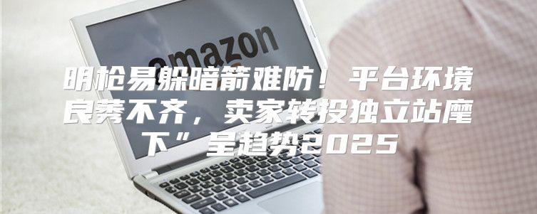明枪易躲暗箭难防！平台环境良莠不齐，卖家转投独立站麾下”呈趋势2025