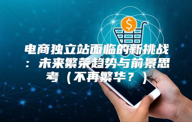 电商独立站面临的新挑战：未来繁荣趋势与前景思考不再繁华？