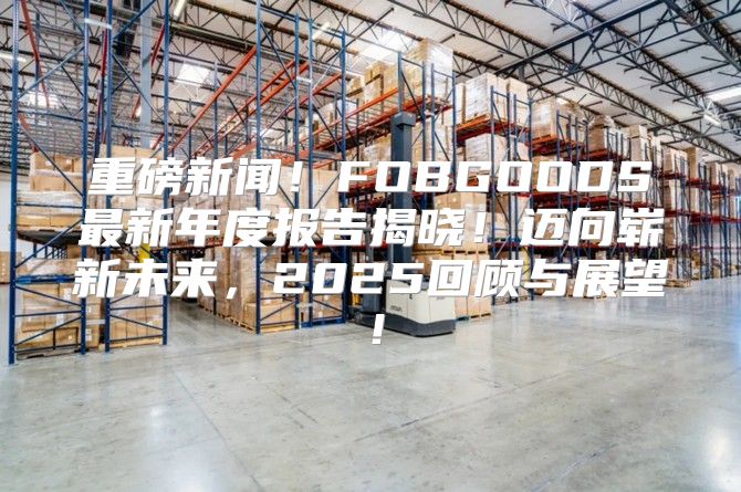 重磅新闻！FOBGOODS最新年度报告揭晓！迈向崭新未来，2025回顾与展望！