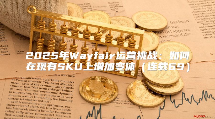 2025年Wayfair运营挑战：如何在现有SKU上增加变体连载69