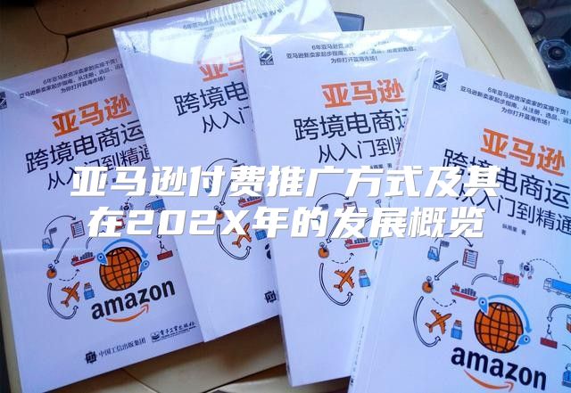 亚马逊付费推广方式及其在202X年的发展概览