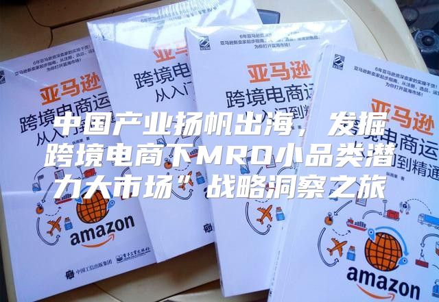 中国产业扬帆出海，发掘跨境电商下MRO小品类潜力大市场”战略洞察之旅