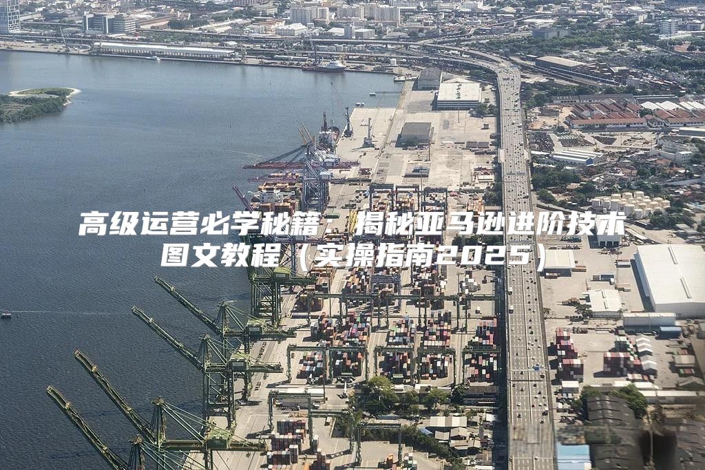高级运营必学秘籍：揭秘亚马逊进阶技术图文教程实操指南2025