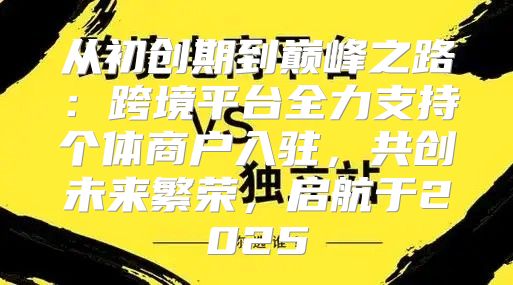 从初创期到巅峰之路：跨境平台全力支持个体商户入驻，共创未来繁荣，启航于2025