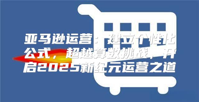 亚马逊运营：建立个性化公式，超越算数挑战，开启2025新纪元运营之道
