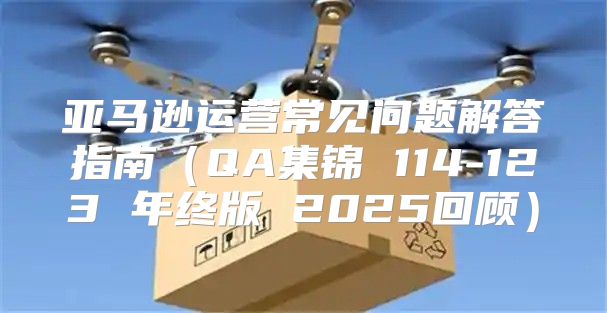 亚马逊运营常见问题解答指南QA集锦 114-123 年终版 2025回顾