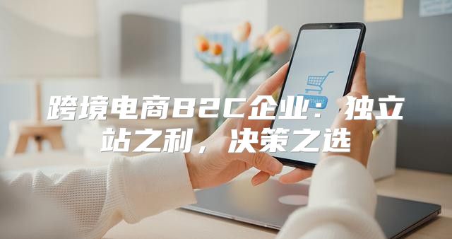 跨境电商B2C企业：独立站之利，决策之选