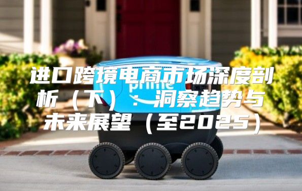 进口跨境电商市场深度剖析下：洞察趋势与未来展望至2025