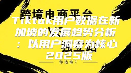 Tiktok用户数据在新加坡的发展趋势分析：以用户洞察为核心 2025版
