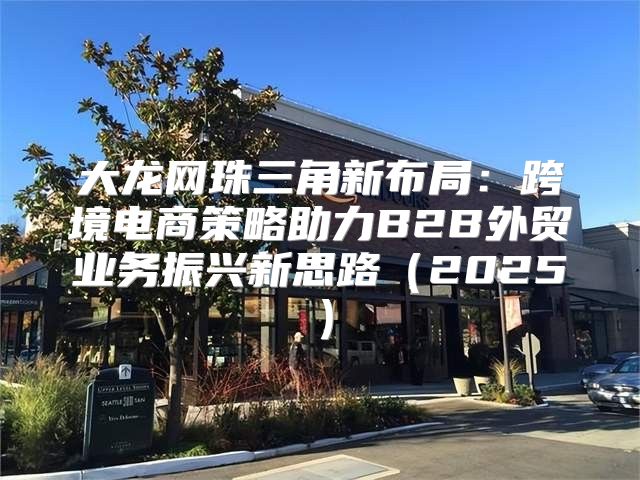 大龙网珠三角新布局：跨境电商策略助力B2B外贸业务振兴新思路2025