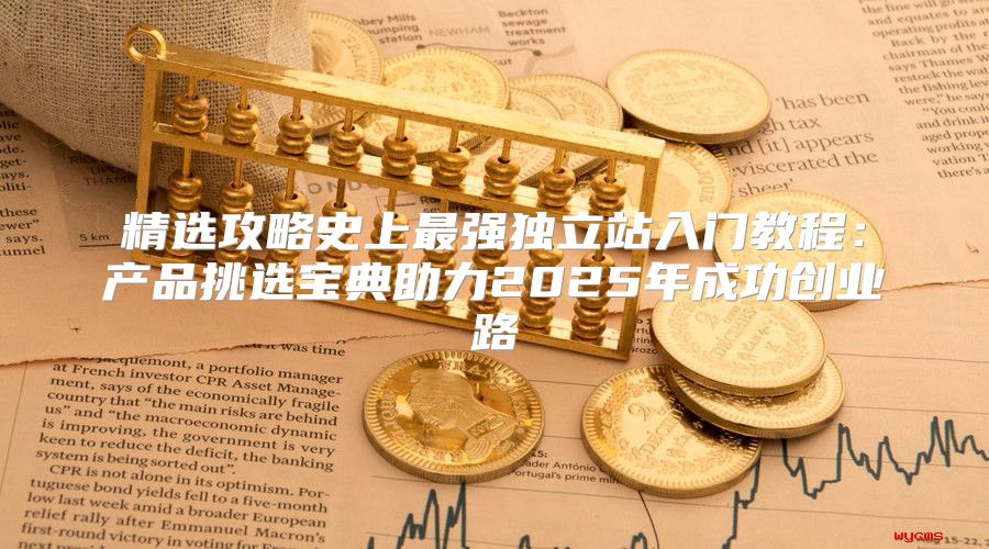 精选攻略史上最强独立站入门教程：产品挑选宝典助力2025年成功创业路