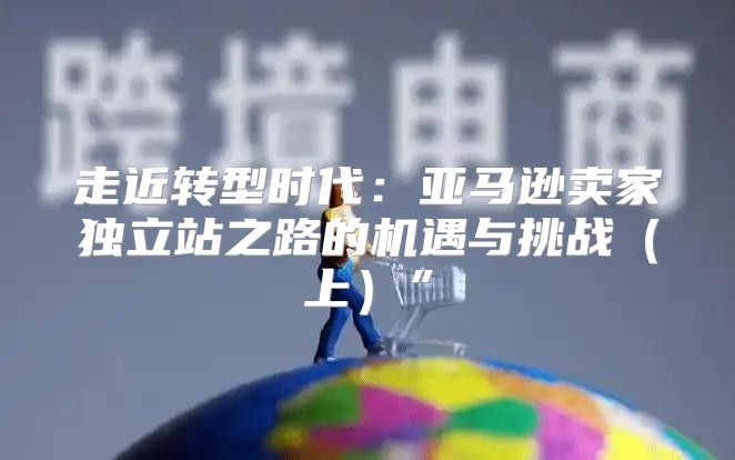 走近转型时代：亚马逊卖家独立站之路的机遇与挑战上”