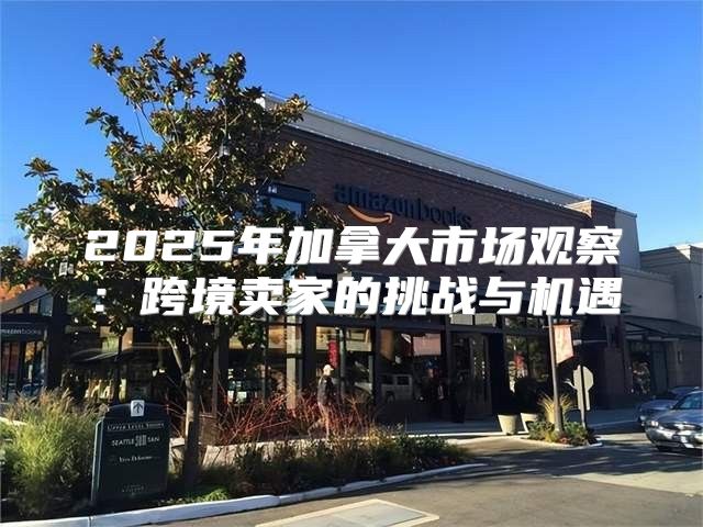 2025年加拿大市场观察：跨境卖家的挑战与机遇