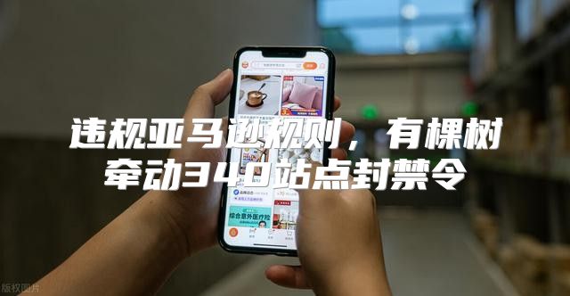 违规亚马逊规则，有棵树牵动340站点封禁令