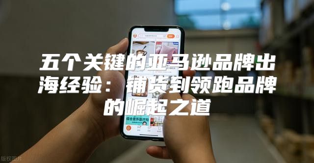 五个关键的亚马逊品牌出海经验：铺货到领跑品牌的崛起之道