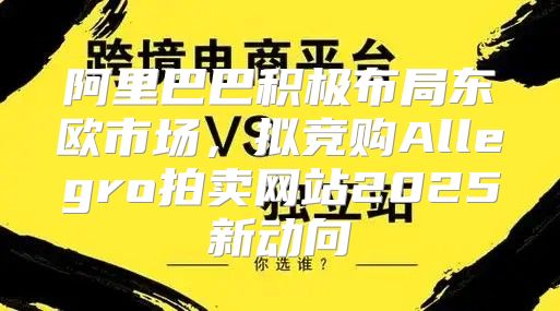 阿里巴巴积极布局东欧市场，拟竞购Allegro拍卖网站2025新动向