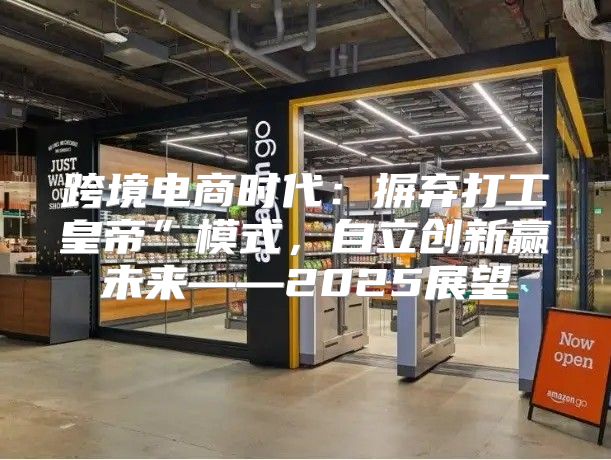 跨境电商时代：摒弃打工皇帝”模式，自立创新赢未来——2025展望