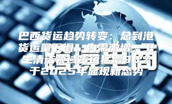 巴西货运趋势转变：总到港货运量下滑，内需激增，卫生清洁领域货运猛增90％于2025年显现新态势