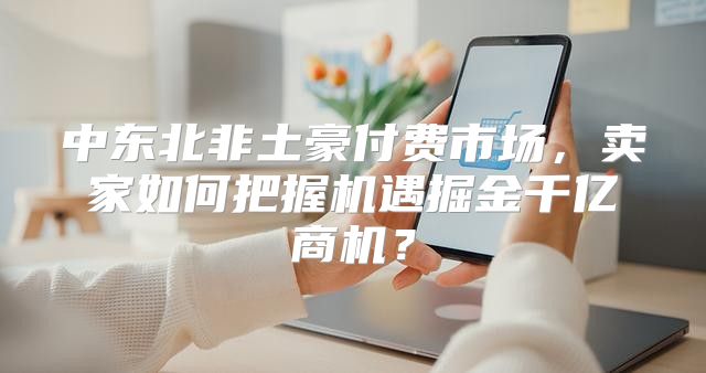 中东北非土豪付费市场，卖家如何把握机遇掘金千亿商机？