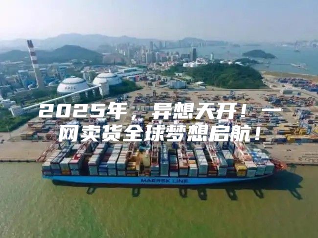 2025年，异想天开！一网卖货全球梦想启航！