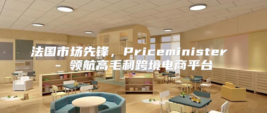 法国市场先锋，Priceminister - 领航高毛利跨境电商平台