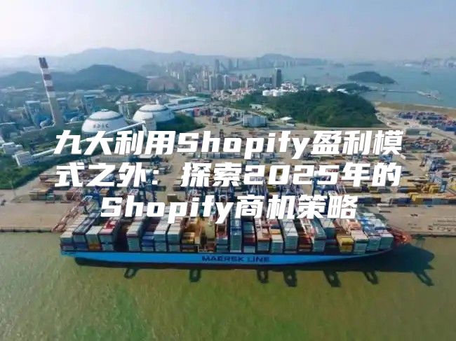 九大利用Shopify盈利模式之外：探索2025年的Shopify商机策略