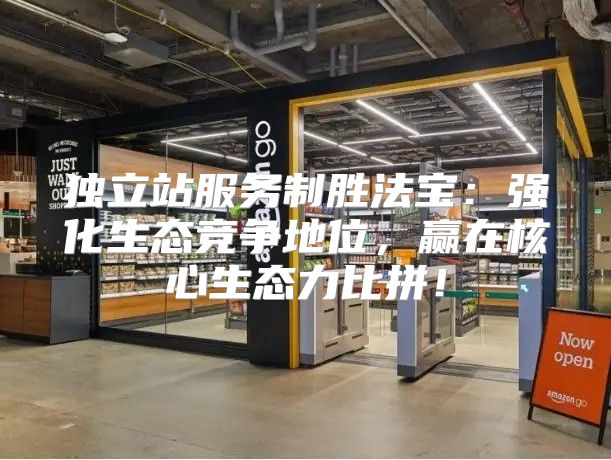 独立站服务制胜法宝：强化生态竞争地位，赢在核心生态力比拼！