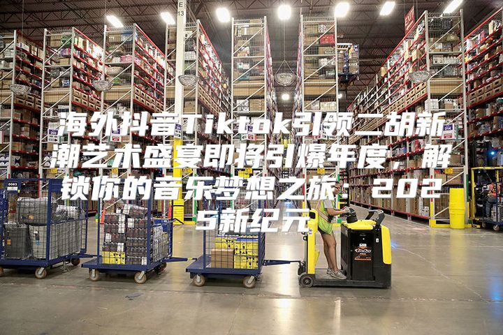 海外抖音Tiktok引领二胡新潮艺术盛宴即将引爆年度，解锁你的音乐梦想之旅：2025新纪元