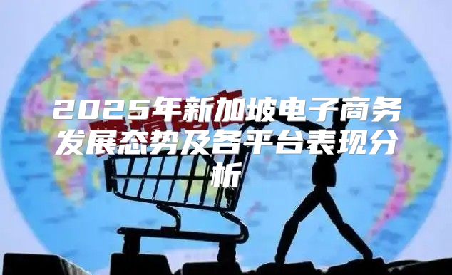 2025年新加坡电子商务发展态势及各平台表现分析