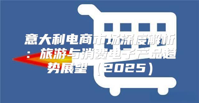 意大利电商市场深度解析：旅游与消费电子产品趋势展望2025
