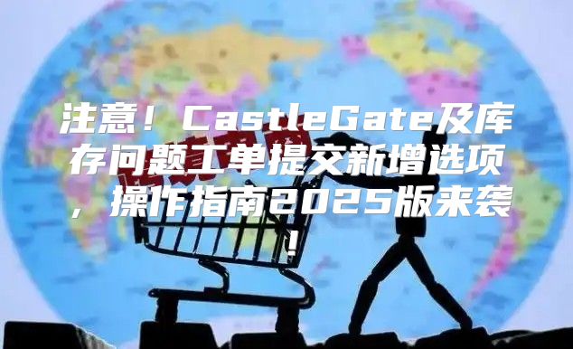 注意！CastleGate及库存问题工单提交新增选项，操作指南2025版来袭！